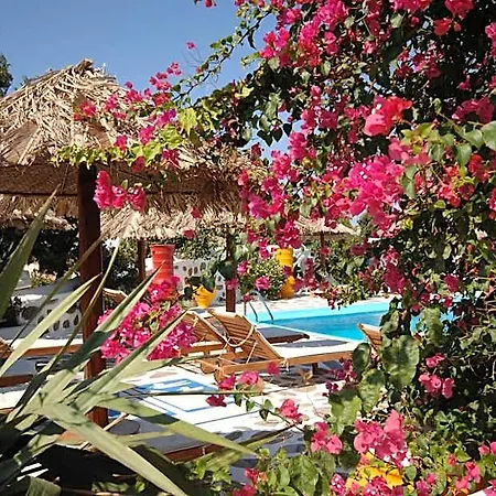 Otel Sun Of Mykonos 3*